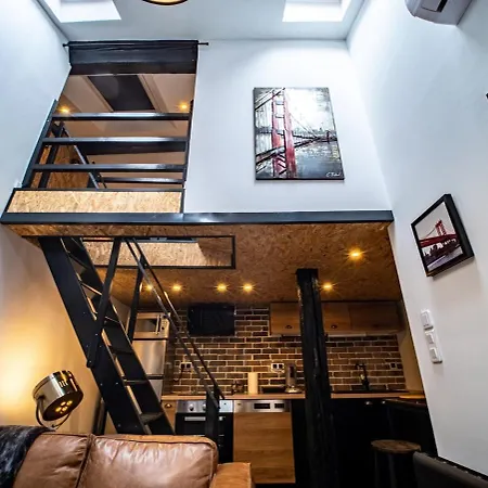 Apartman Le Petit Macaron Industriel Hyper Centre Insolites Nancy